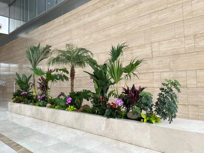 宁波植物出租专业